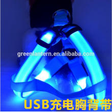 USB Rechargeable LED Dog Harness. Soft Mesh Harness No Pull Lighted Safety Harness. Increased Visibility & Safety